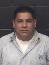 MURDER SUSPECT WILD ART