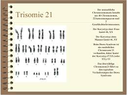 Eine Menschliche Korperzelle 46 Chromosomen 22 Autosomenpaare 1 Gonosomenpaar Pdf Kostenfreier Download