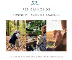 Heart in diamond uk creates sparkling diamonds from the ashes of your dog, cat or other pet. Facebook