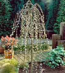 If your tree arrives as a bare root plant, be sure to follow the directions that come with the tree regarding planting time and steps. Weeping Pussy Willows For Sale Fastgrowingtrees Com