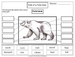 Printables: Label the Parts of a Polar Bear by Green Tree ...