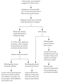 Primary Brain Tumors In Adults Diagnosis And Treatment