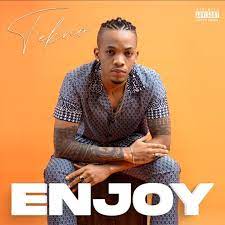 Waptrick brings fresh music, videos, tv series and games! Tekno Enjoy Mp3 Download Naijaloaded