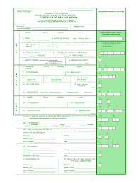 A birth certificate can also be defined as an official document that is usually prepared and issued by the relevant authorities to act as a record of a new born baby's. Birth Certificate Form Fill Online Printable Fillable Blank Pdffiller