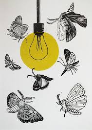 Pin On Ilustracje