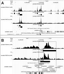 Over the years, the company has grown into group of several companies that provide various services, prominently in the field of engineering consultancy services mainly encompassing. An In Depth Characterization Of The Major Psoriasis Susceptibility Locus Identifies Candidate Susceptibility Alleles Within An Hla C Enhancer Element
