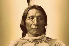 Sunflowers used for radioactive waste cleanup