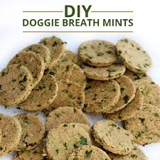 mint dog treats for fresh doggy breath