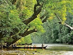 Gunung tertinggi di semenanjung malaysia ini memerlukan masa 7 hari untuk mendakinya dengan melalui laluan yang kuala tahan > gunung tahan > kuala juram (merapoh) 7 hari 6 malam. Apa Yang Anda Perlu Tahu Tentang Taman Negara