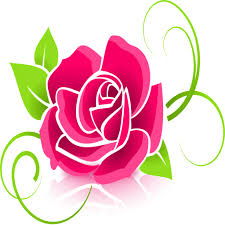 Nous avons compilé les meilleurs et les images haute photo de qualité de roses pour vous. Fond D Ecran Rose Hd Amazon Fr Appstore Pour Android