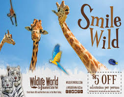 Phoenix Kids Ad 1024x808 Jpg 1024 808 Zoo Coupons Safari Park West Valley