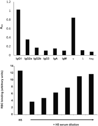 Camilo colaço has a compelling sense of himself as a spiritual being who is the searcher and the seeker of truth. Virus Glycoproteins Tagged With The Human Fc Domain As Second Generation Vaccine Candidates Springerlink