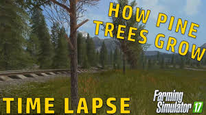 Maybe you would like to learn more about one of these? How Pine Trees Grow Time Lapse Farming Simulator 2017 Youtube
