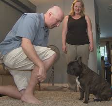 Features and shout outs available. Surrey B C Couple Fight For Win Refund After Being Sold Fatally Ill Bulldog Cbc News
