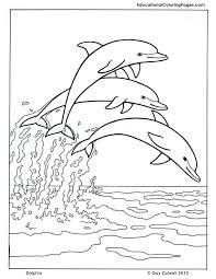 There are tons of great resources for free printable color pages online. Mammals Book Two Coloring Pages Animal Coloring Pages For Kids Dolphin Coloring Pages Animal Coloring Pages Dolphin Drawing