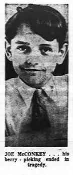STRAWBERRY FIELD MURDER ROCHESTER JUNE 23, 1937 Thirteen year old Joey  McConkey took a pail and went to gather strawberries from field not to far  from his family home at 272 Bernice