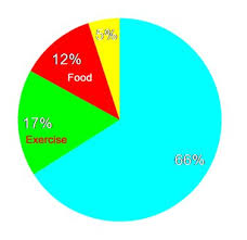 Clicking on the cut displays information on the value of selected macronutrients (protein, fat or carbohydrates) and the percentage of energy. Blog Being You Personal Training