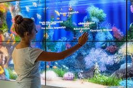 Large fish tank is an assembled furniture item used to hold and breed fish. Living Aquarium Life Like Virtual Fish Tank Vertigo Systems Gmbh