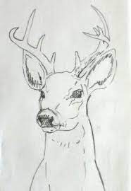 Pin On Drawings