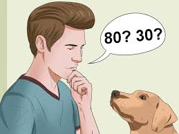 3 Cara Untuk Menghitung Umur Anjing Wikihow