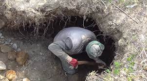 Filmul avea un prolog jucat. Video Cautator De Aur In Romania Cat Gasesti Unde Gasesti Cat Castigi Cat De Grea E Munca Extra News