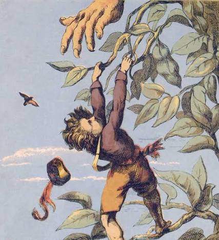 Story Traveler: "Jack and the Beanstalk" | NCPR News