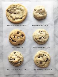 all the ways to f ck up a chocolate chip cookie coolguides