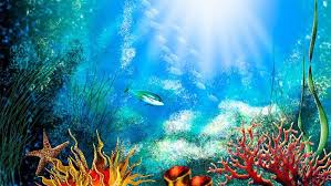 Fish Tank Background Printable 50 Best Aquarium Backgrounds Underwater Wallpaper Aquarium Backgrounds Aquarium Live Wallpaper