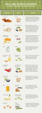 How to keep pests from garden. How To Get Rid Of Common Garden Pests Fix Com