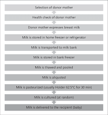 flow chart of the human milk banking process download