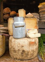 Cantal Cheese Auvergne France Cheese French Cheese Queso Cheese