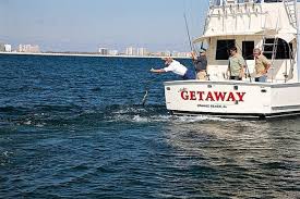 Expedia's hotel search makes booking easy. Getaway Charters Gulf Shores Orange Beach