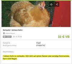 pin auf funny designs