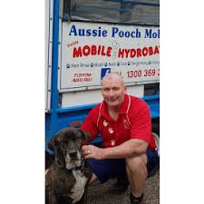 Dog wash in Sunnybank by Brian (Sonny) Denton