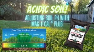 Not too much though, like 16 oz molasses/acre. What Is Thatch In Lawn How To Remove It N Ext D Thatch Thatch Digester Liquid Thatch Remover Youtube