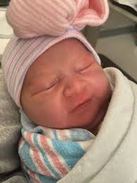 Ed Crump (@EdCrumpABC11)