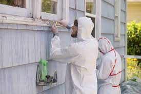 What Can I Use To Remove Lead Paint? - Ledizolv - Lead Specific Detergent