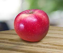 Apple (symbolism) — apples appear in many religious traditions, often as a mystical or forbidden fruit. First Apple Resistant To Climate Change Launched Freshfruitportal Com
