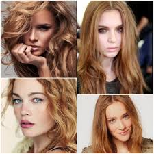 Image Result For Level 8 Gold Copper Copper Hair Color Hair Color Formulas Red To Blonde