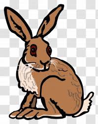 The clip art image is transparent background and png format which can be easily used for any free creative project. Arctic Hare The Png Images Transparent Arctic Hare The Images