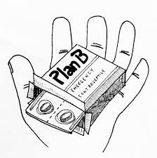 Image result for Plan-Z