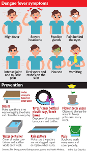 Deputy health minister lee boon chye expects the number of cases to hit 150,000 by the end of the year if efforts. Number Of Dengue Cases Set To Hit All Time High The Star