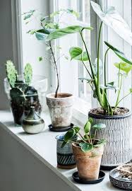 Vensterbank Inspiratie Huis Inrichten Com