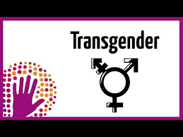 Pin On Transgender