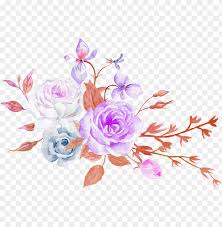 Beautiful large vivid african daisy flowers with green monstera leaves on white background. Rose Flower Aesthetics Floral Design Aesthetic Flowers Png Image With Transparent Background Toppng