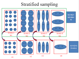 Stratified Sampling Definition Allocation Rules With Advantages And Disadvantages Statistics Math Statistics Plurals
