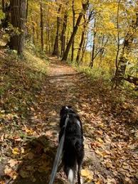 Click on a hiking trail below to find trail descriptions, trail maps, photos, and reviews. Hiking Trails Near Eastern Iowa