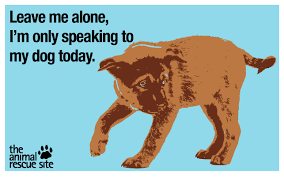 Leave Me Alone I M Only Speaking To My Dog Today Animal Rescue Site Animal Rescue Animal Memes