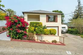 Flowering tea house petaluma california. Ikn9xq6mrdnuem