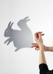 Pin By The Magnetic Heart Jerilyn Mor On Things I Love White Brown Black Bunny Art Velveteen Rabbit Honey Bunny